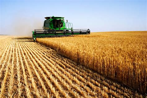 Globalization and Agriculture | Globalization