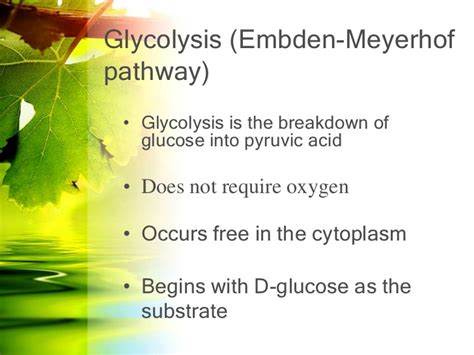 Glycolysis and gluconeogenesis