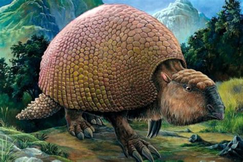 Glyptodon | Mundo Prehistórico | Foro de Paleontología