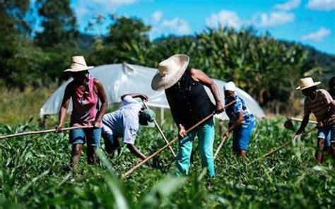 Gobierno crea programa de créditos para pequeños agricultores
