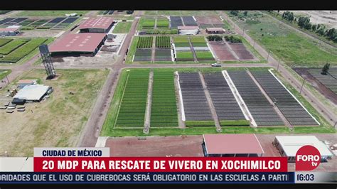 Gobierno de CDMX rescata viveros de Xochimilco – Noticieros Televisa