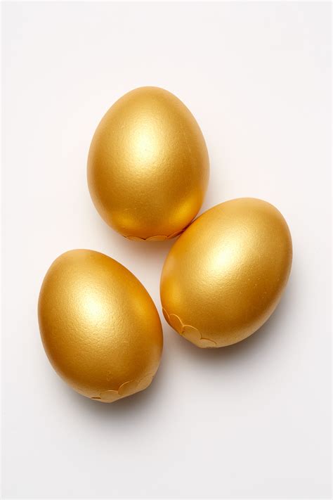 Golden Goose Egg   Coco Chocolate