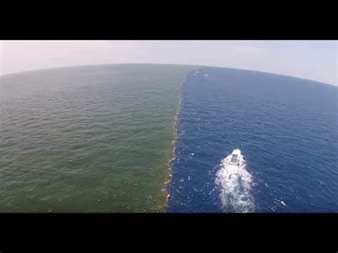 Golfo de Alaska, Donde dos océanos se juntan pero no se ...