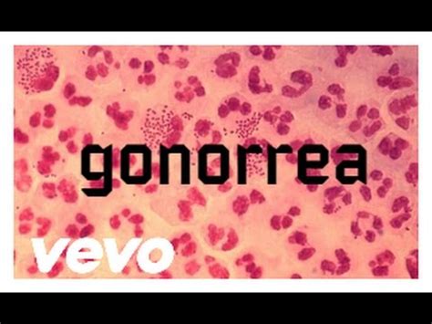 Gonorrea   TopsMedicalVEVO| Causas, Síntomas, Tratamiento ...