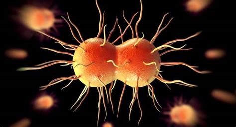 Gonorrhea, chlamydia, UTI +4 causes of discharge from ...