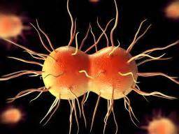 Gonorrhea: Symptoms, treatment, and causes
