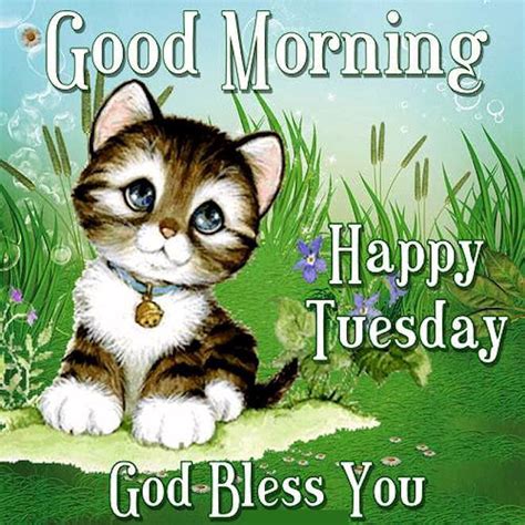 Good Morning Happy Tuesday God Bless You Cute Quotes ...