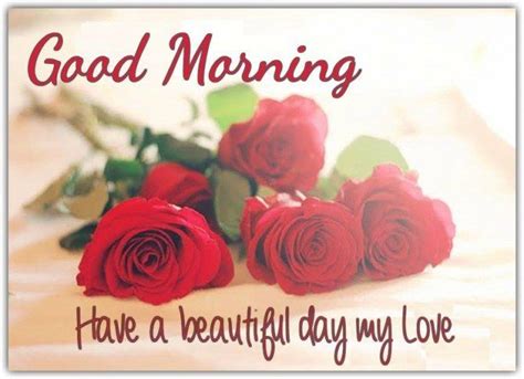 Good Morning My Love Have A Beautiful Day Pictures, Photos, and Images ...