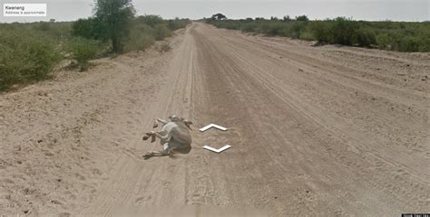 Google Maps  Street View Car Didn t Run Over A Donkey In ...