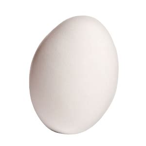 Goose Healthy Eggs at Rs 8.50/piece | अंडा   Gauri Agro ...