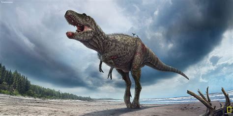 Gorgosaurus model for  T.Rex: Ultimate Dino Survivor , TV ...