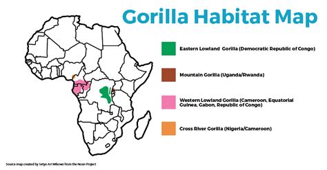 Gorilla Habitat Map by SEEtheWILD Wildlife Conservation Travel