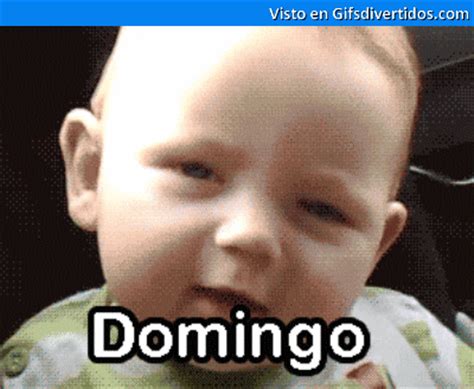 Graciosos GIF   Find & Share on GIPHY