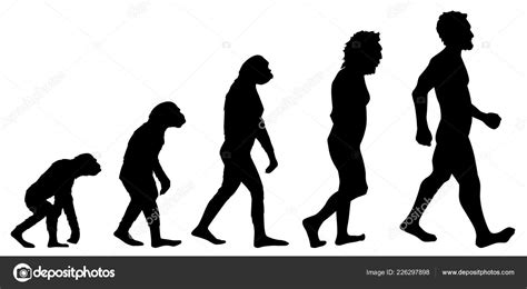 Gráfico Evolución Humana Detalle Historia Evolución ...
