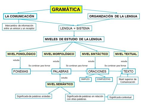 Gramática: Niveles de estudio de la lengua | Gramática ...
