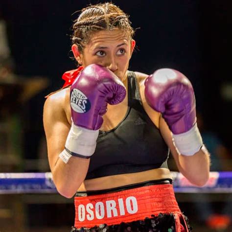 Gran Noche de Boxeo Profesional | Febrero 2019 | Guatemala.com