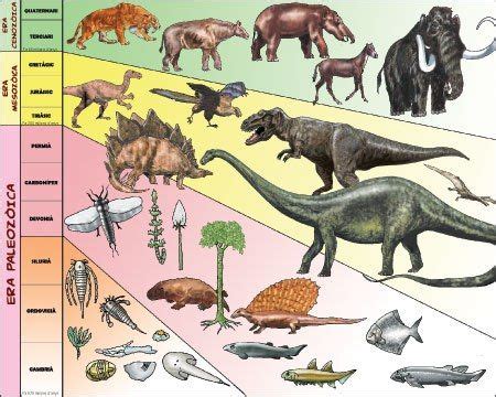 GRANDES GRUPOS DE DINOSAURIOS | Tipos de dinosaurios, Animales de la ...