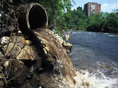 Grandes problemas ambientales: La contaminacion del agua