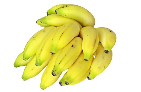 Green Bananas Bunch PNG Transparent Image Free #6   Free ...
