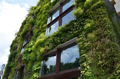 green facade   Asia Green Buildings