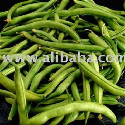 Green Soya Beans products,India Green Soya Beans supplier