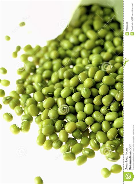 Green Soya Beans Stock Photos   Image: 23708593