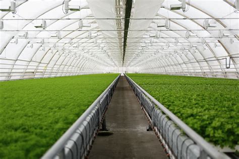 Greenhouse Smart Application Project that Reduces Waste and Improves ...