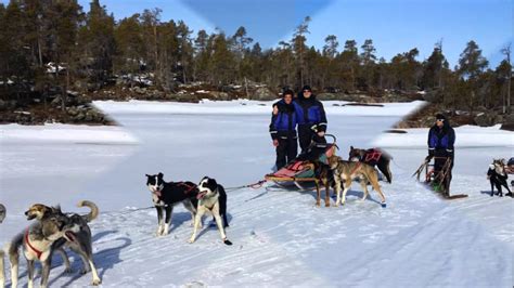 Greenland Adventure Viaje en trineo de perros en el Lago ...