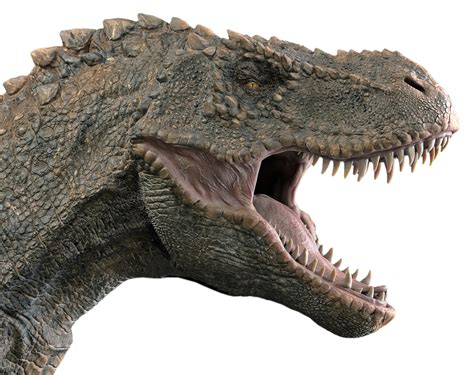 Grootste Tyrannosaurus rex ter wereld ontdekt:  Dit is de ...