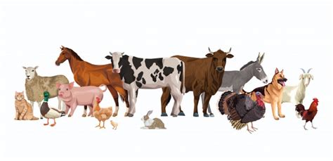 Group of animals farm characters Vector | Premium Download