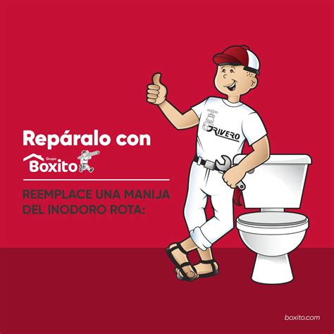 Grupo Boxito  @GrupoBoxito  | Twitter
