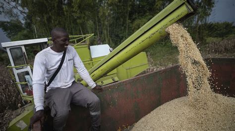 Guachené, la tierra prometida para la agricultura en el norte del Cauca