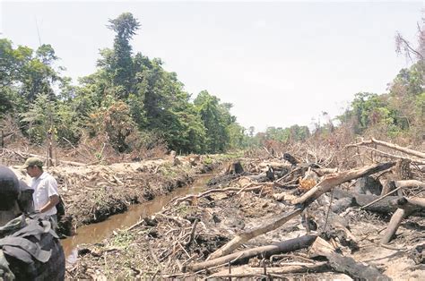 Guatemala invierte poco en proteger el ambiente