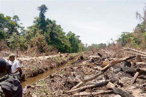 Guatemala invierte poco en proteger el ambiente – Prensa Libre