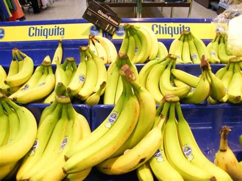 Guatemalan banana bosses deny they’re exploiting campesinos – The Tico ...