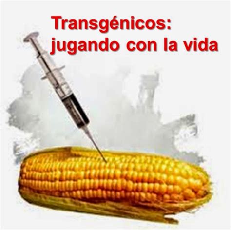 gubiler: Porqué los cultivos transgénicos son una amenaza a los ...
