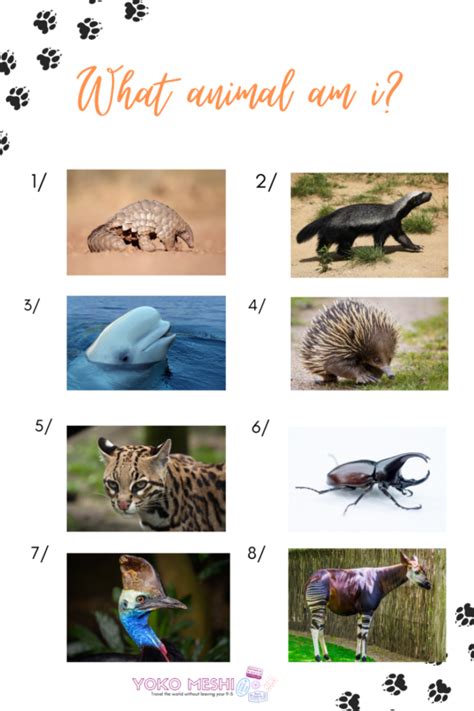 Guess The Animal Quiz / The Ultimate Guess The Animal Quiz ...
