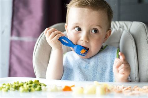 Guía básica: alimentación de tu bebé a los 6 meses   Bekia Padres