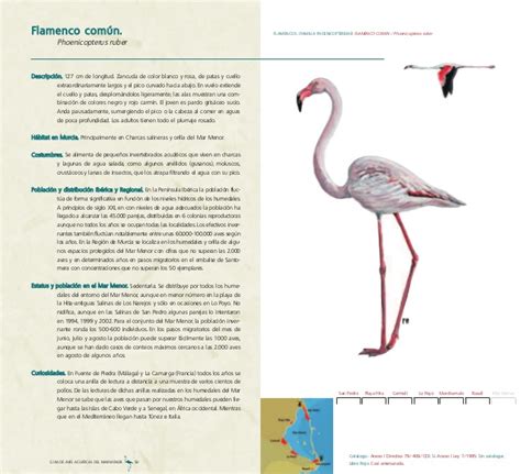 guía de aves acuáticas del mar menor 2007