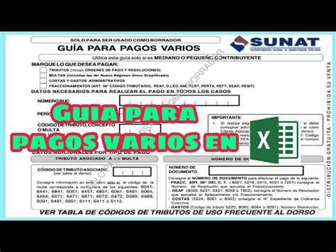 Guía de PAGOS VARIOS SUNAT ️ Para Llenar en exel 2021 impuestos pdt ...