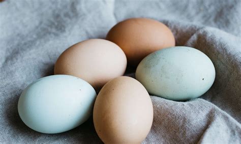 Guía definitiva de las categorías de los huevos y su importancia