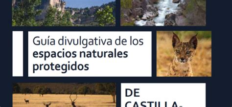Guía Divulgativa De Los Espacios Naturales Protegidos De Castilla ...
