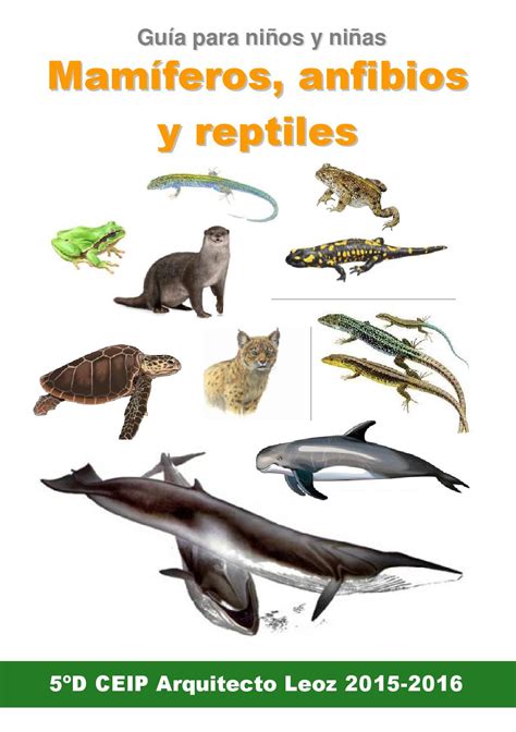 Guia mamiferos, anfibios y reptiles: el libro de los niñ@s ...