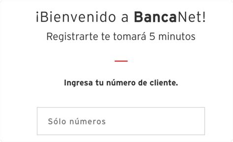 Guía para tu primero ingreso a Banca Electrónica BancaNet ...