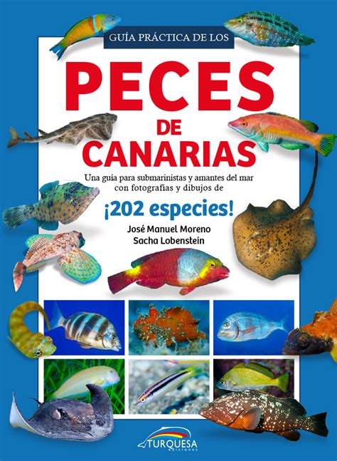 Guía práctica de los Peces de Canarias  Bolsillo  | enelmar.es