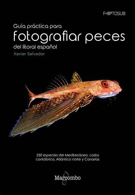 Guía práctica para fotografías peces del litoral español ...