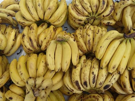 Guide to Six Different Types of Bananas