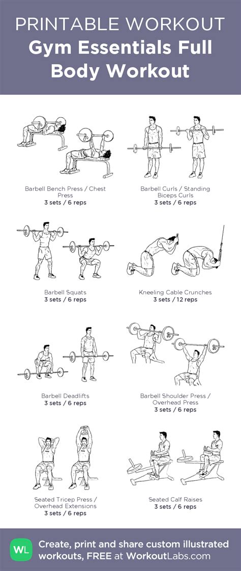 Gym Essentials Full Body Workout | Full body gym workout, Full body ...