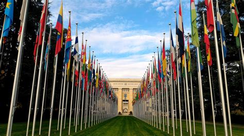 Hace 74 años se fundó la ONU: ¿cuál es su función?