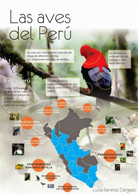 Hacer Historia: Las Aves del Perú  Infografías